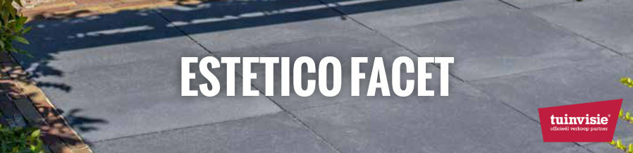 Estetico facet