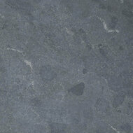 Spotted Bluestone 60x60x3 cm